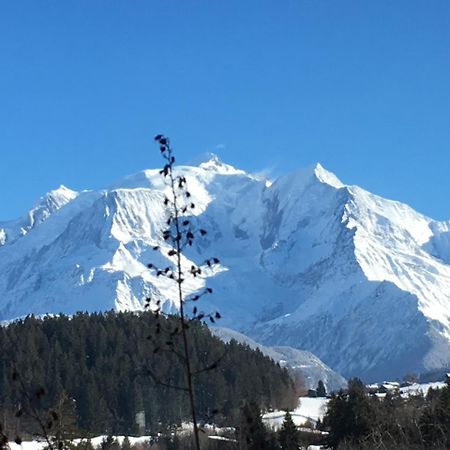 Готель Les 4 Vallees Альбервіль Екстер'єр фото